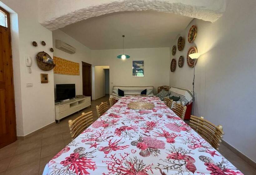 Casa Carla Casa In Pineta A 100 Mt Dalla Spiaggia