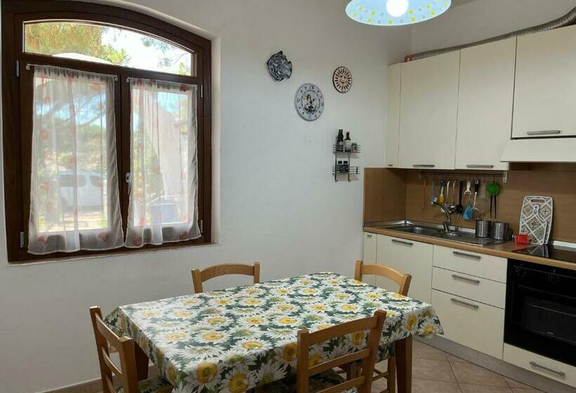 Casa Carla Casa In Pineta A 100 Mt Dalla Spiaggia