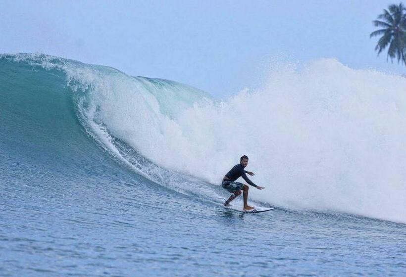 Отель Barriga Feliz Surf Camp