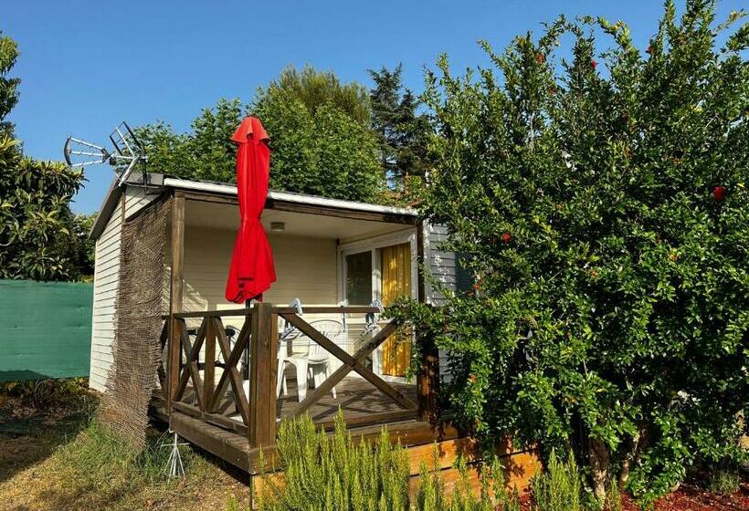 Mobil Home 4pers Avec Accès Piscine