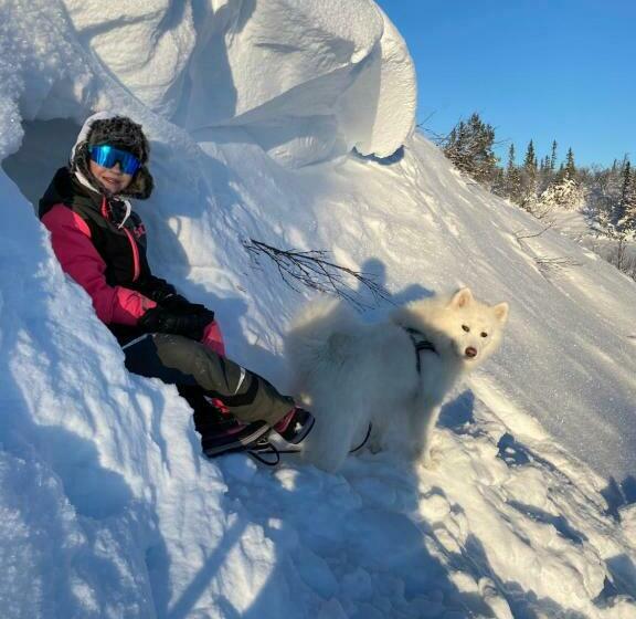 Ottsjö åre Minilodge