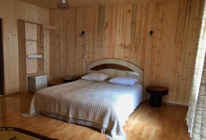 Agropensiunea Nemira