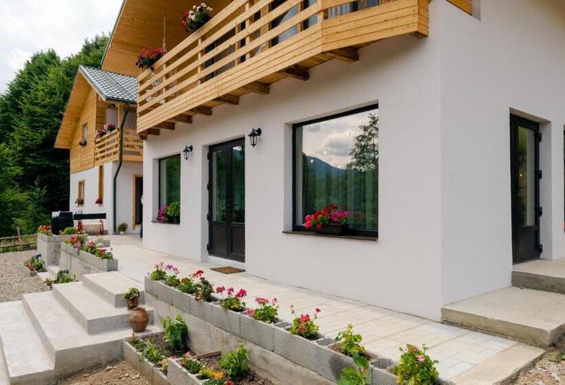 Agropensiunea Nemira