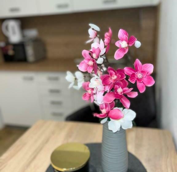 Apartmány U Jelena 1