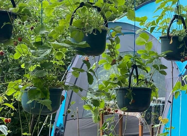 مبيت وإفطار тереза кемпинг