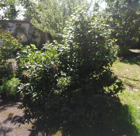 Bed and Breakfast La Ruelle : Chambres D Hôtes