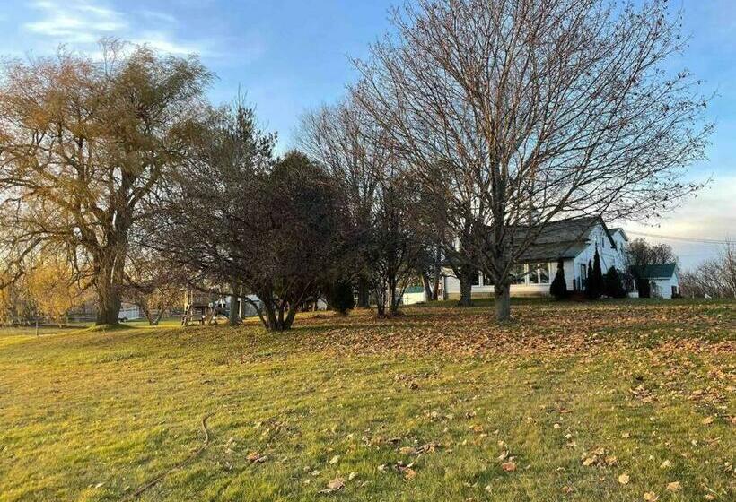 Hilton Valley Guest House