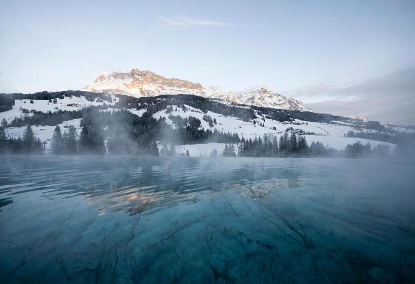 בית מלון כפרי Badia Hill