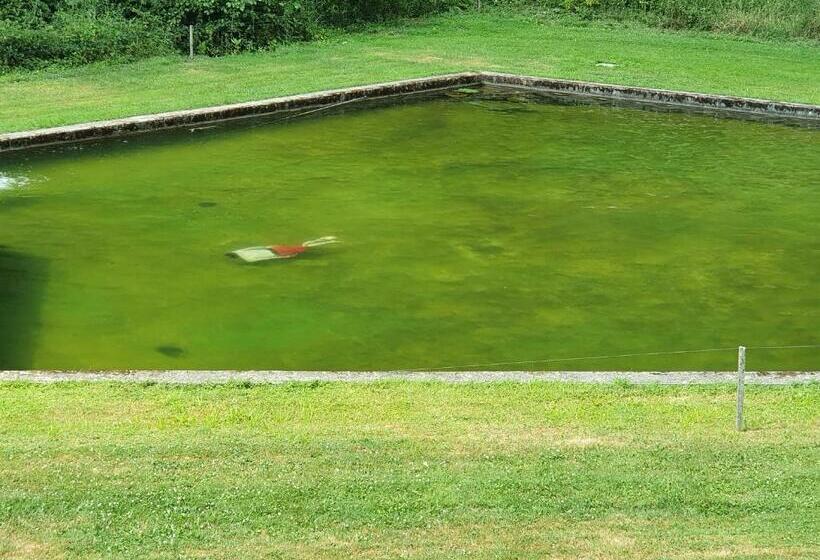 Le Saint Moulin De La Petite Pierre