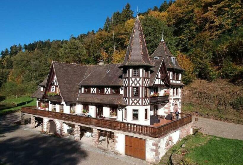 Le Saint Moulin De La Petite Pierre