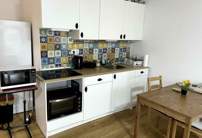 Modern 2 Room Apartment In Berlin