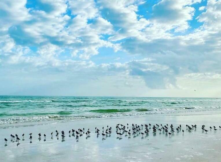 پانسیون Ah Muzenkab