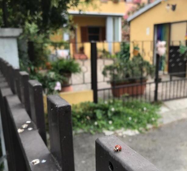 פנסיון Casa Tognetti