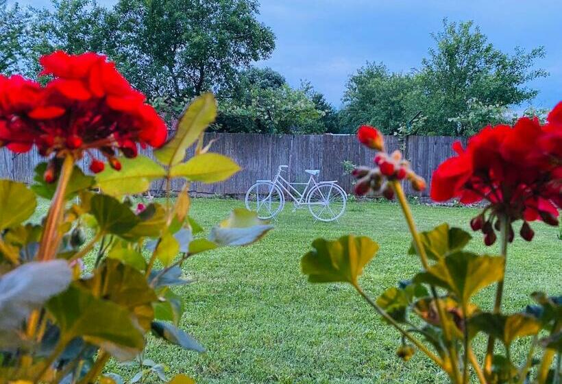 Пансион Serenity Garden Villa