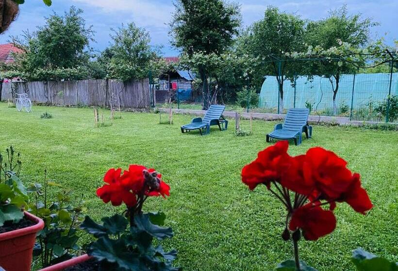 Пансион Serenity Garden Villa