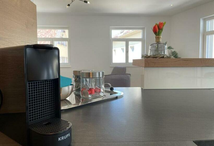 Vincent Apartment Bregenz   Mit Parkplatz