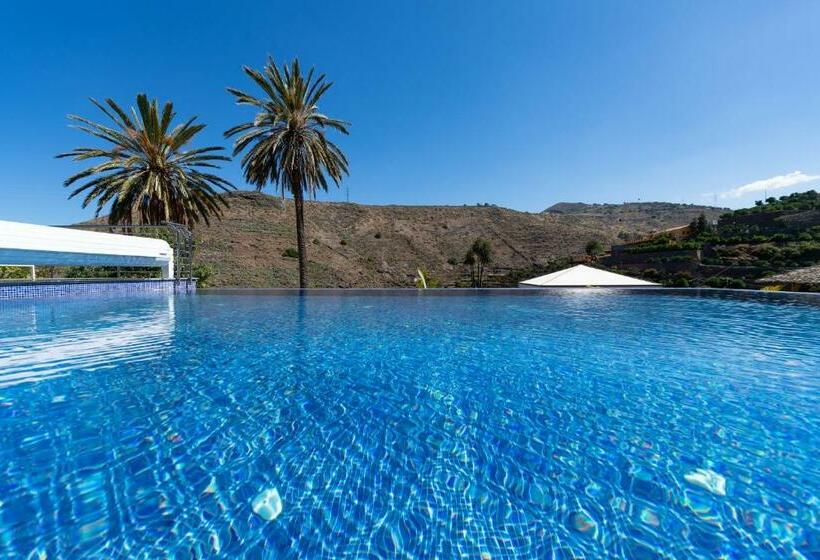 Vistapool Oasis Telde