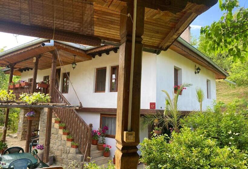 вила любима