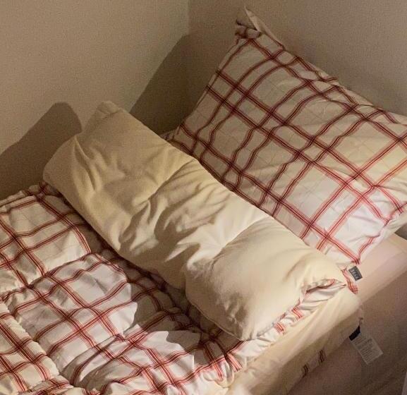 هاستل The Stay Cube House   Female Only