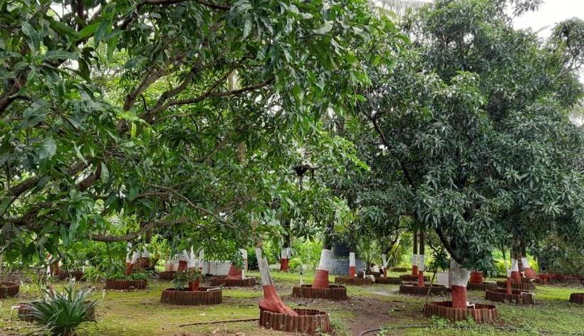 ベッドアンドブレックファースト Prajakta Rest House