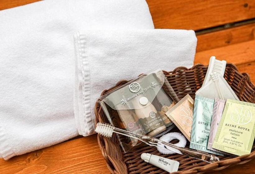 Отель Lupo Forest Gran Forest Echizen Miyama Vacation Stay 07137v