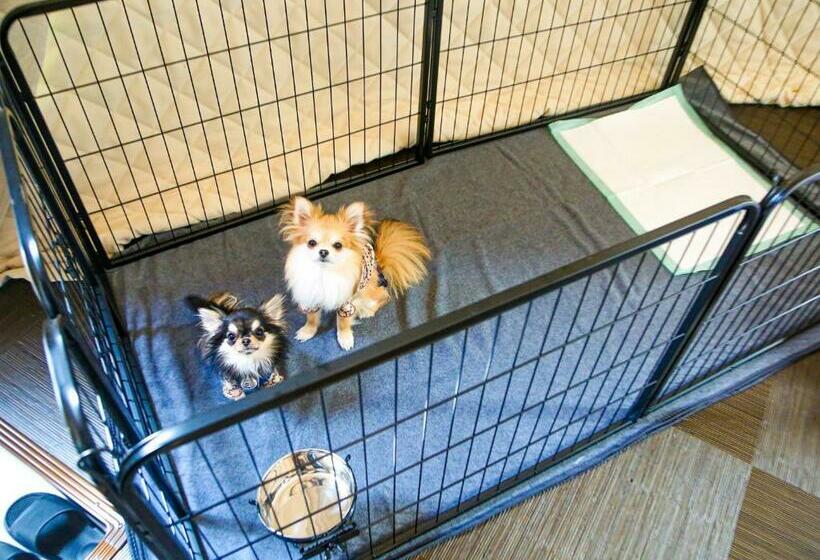 فندق Lupo Forest Gran Forest Echizen Miyama   Vacation Stay 07123v