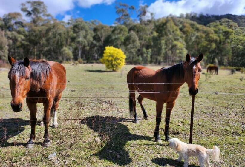 בית מלון כפרי Redgate Homestead