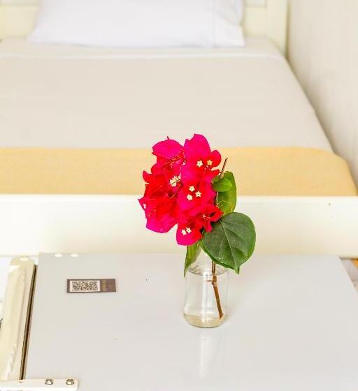 בית מלון כפרי Sunshine Kite Inn