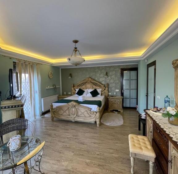 פנסיון Ami Residence Bucharest Airport,therme&free Parking Otopeni