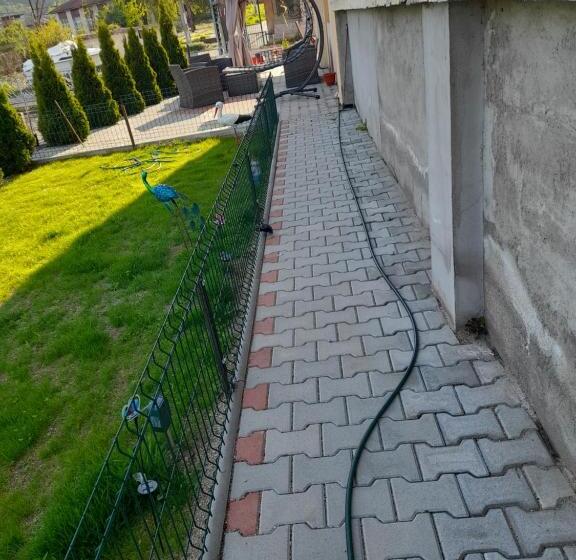 פנסיון Casa Adrian