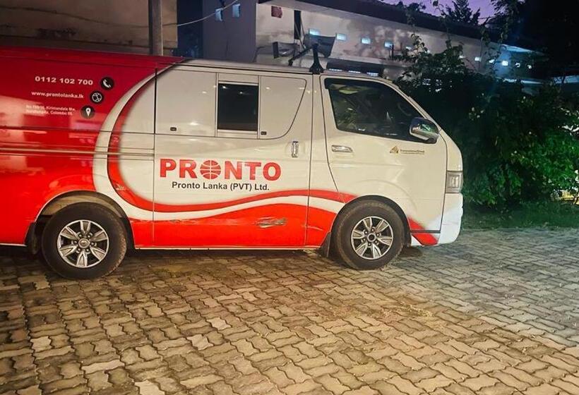 膳宿费 Flamingo Villa