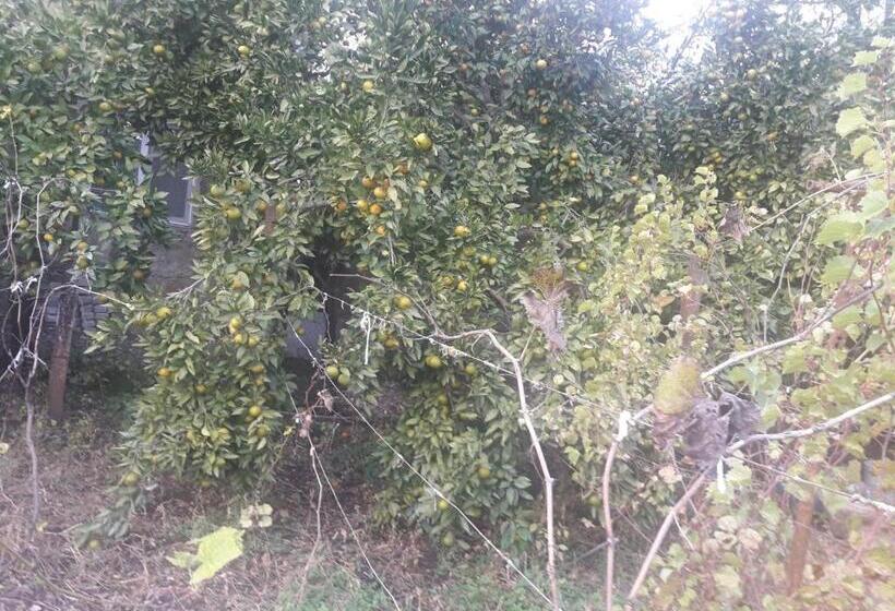 پانسیون Ni  Ke