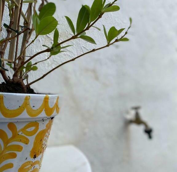 بنسيون Palacete Encanto Maior