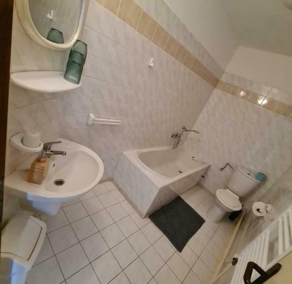 膳宿费 Penzion Hana