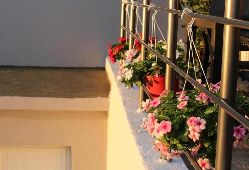 פנסיון Vila Elarad