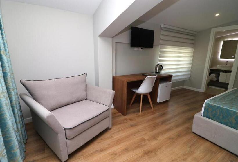 פנסיון Vila Elarad