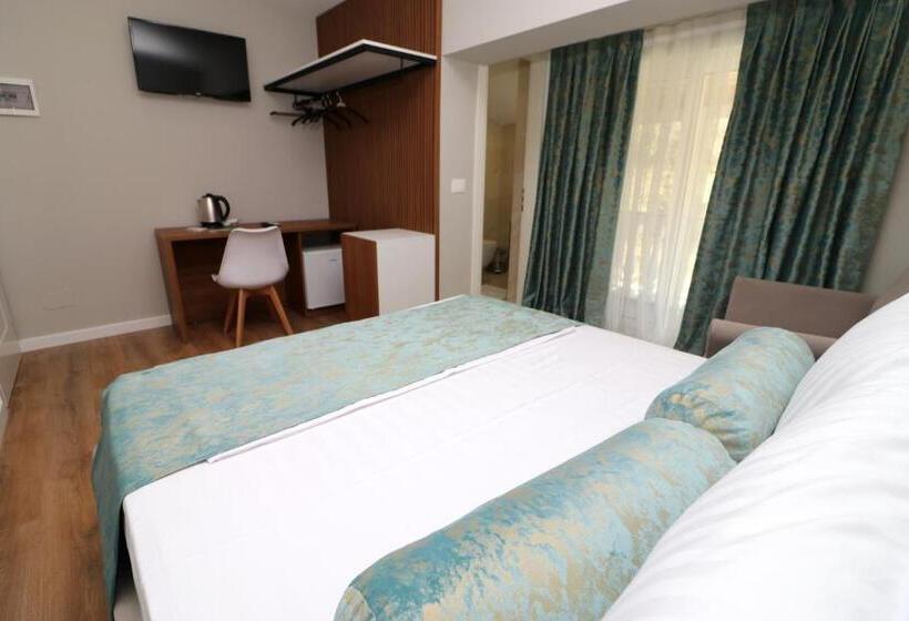 פנסיון Vila Elarad