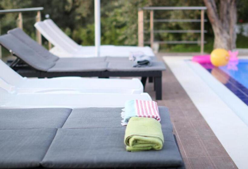 פנסיון Vila Elarad