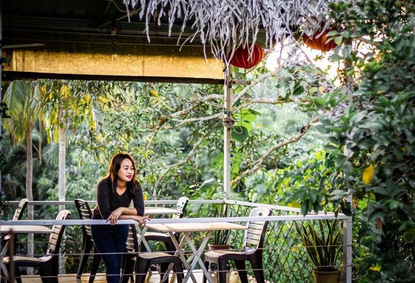 渡假胜地  Timba Garden Free Town And Jetty Transport