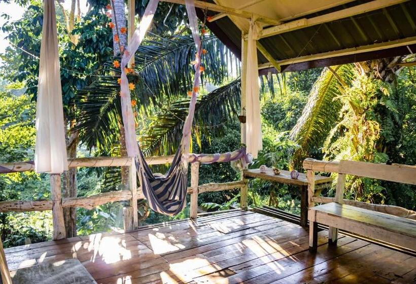 渡假胜地  Timba Garden Free Town And Jetty Transport