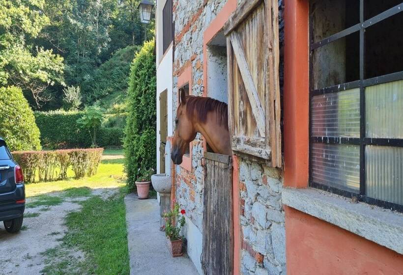 Timeless L  Antico Mulino Della Bozza   Happy Rentals