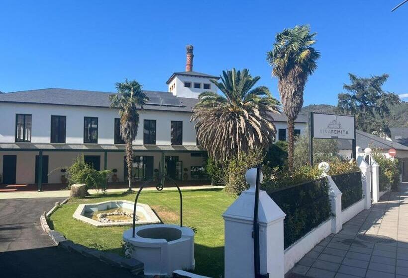 הוסטל Viña Femita