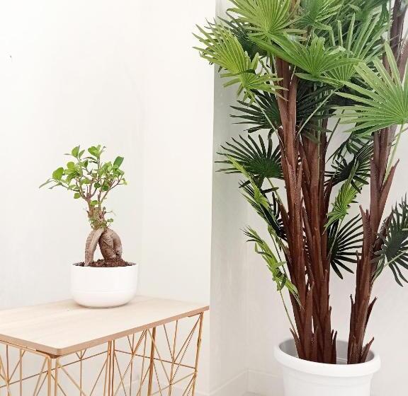 住宿加早餐  Home Sicily