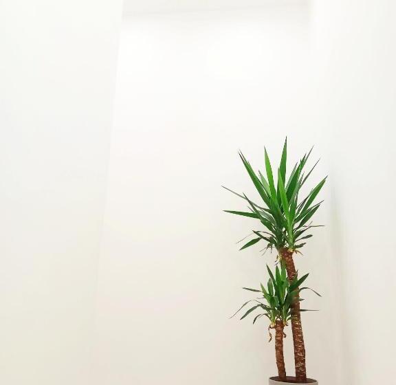 住宿加早餐  Home Sicily