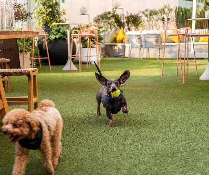 ホテル Andaz Condesa Mexico City, By Hyatt