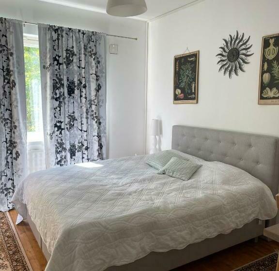 Tilava Yksiö Port Arthurissa, Iso Keittiö