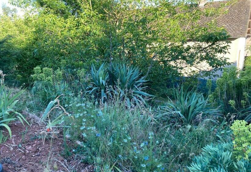 Logement Indépendant, De Plain Pied, à Rodez Aveyron