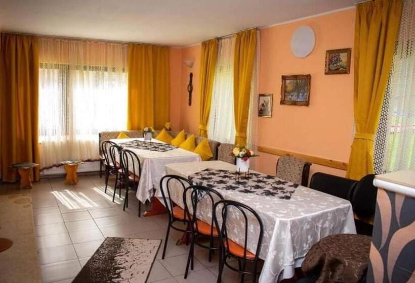 펜션 Cabana Ancuța