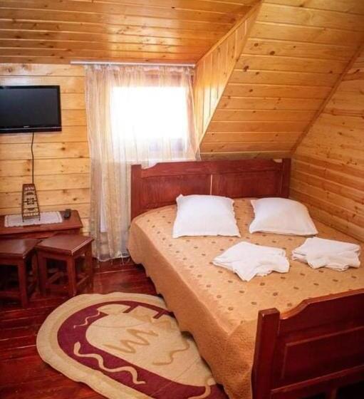 펜션 Cabana Ancuța