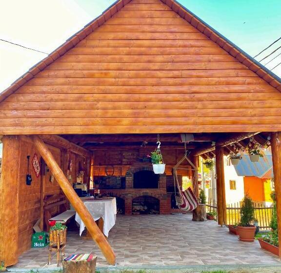 펜션 Cabana Ancuța